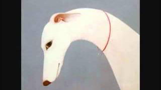 Vashti Bunyan- If I Were