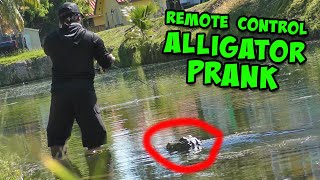 Fake Alligator Prank! Remote Control Alligator Head