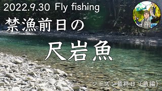 【Fly fishing】2022.9.30/シーズン最終日（前編）禁漁前日の釣行で出会えた尺岩魚/river Peek山女