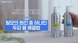 [블랙포레] 탈모정보 4편_탈모의 원인 중 하나인 두피열 해결 TIP