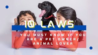 10 Pet Laws in India: EXPLAINED | #pets #law #india #animalwelfare #petlover