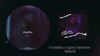 FayZee - Kopilka  (Music Version)