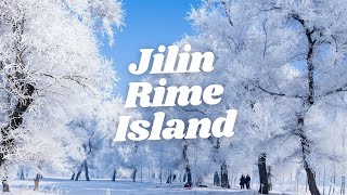 Jilin Winter Wonderland | Rime Island