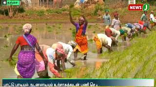 பாட்டு பாடியும், நடனமாடியும் உற்சாகமாக சம்பா சாகுபடியை தொடங்கிய தஞ்சை விவசாயிகள்!!