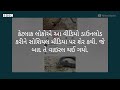 screaming snake માણસની જેમ બૂમો પાડતા સાપના viral video નું સત્ય શું છે