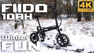 FIIDO D1 10AH ⚡ Electric bike Winter Offroad Long Range test TRUE story 😍🍻