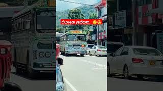 එයාගෙ ලස්සන...😍😌 #trending #bus #1million #busfansoffical #touristattractions #travel #busfansclub