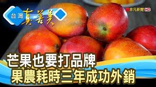 外銷鍍金“枋山芒果香”︱盧家芒果｜【台灣真善美】2020.08.09