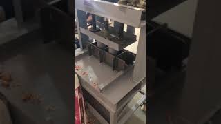 Hydraulics fruit press machine