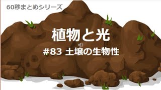 植物と光 # 83　土壌の生物性