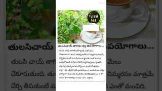 తులసి టీ ప్రయోజనాలు 1745 #tulasi #tea #healthbenefits #health # #shorts