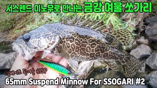 65mm Suspend Minnow For SSOGARI #2/ 금강 여울 쏘가리