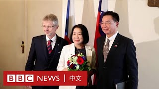 台灣外長吳釗燮會晤捷克參議院議長維特齊－ BBC News 中文