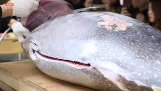 도시어부 출연 양승호, 생참치 해체 _117kg Giant Tuna filleting_Tuna sashimi_Japanese food