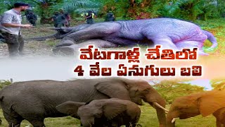 Thousands of Africa's Elephants Still Killed for Ivory | అటవీ ఏనుగుల సంరక్షణకు ఏర్పాట్లు