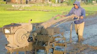 traktor Yanmar bekerja menghaluskan lahan garapan sawah