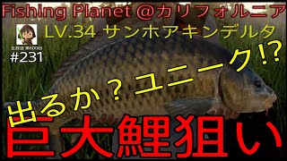 Fishing Planet #231『巨大鯉を釣る!! 出るか？ユニーク級!?@サンホアキンデルタ LV34 カリフォルニア』【生放送 第600回】#フィッシングプラネット#攻略#金策#雑談