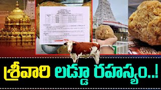 శ్రీవారి లడ్డూ చరిత్ర..! | Tirupathi Laddu History | Tirumala Tirupathi | 1TVNEWS |#tirupathiladdu