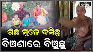 ଗ୍ରୀଷ୍ମ ପ୍ରବାହ ସହିତ ଅସହ୍ୟ ଗୁଳୁ ଗୁଳି ହେଉଛି,ଏଥିସହ ବାରମ୍ବାର ବିଜୁଳି କାଟକୁ ନେଇ ଲୋକେ ଅସ୍ତବ୍ୟସ୍ତ ହେଉଛନ୍ତି ।