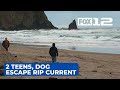 2 teens, family dog rescued from rip current at Cannon Beach