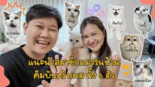 แนะนำสมาชิกแมวในบ้านคิมบับครับผม แต่ละแมวเป็นตัวของตัวเองสุดๆ | ครอบครัวคิมบับ