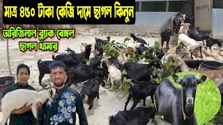 মাত্র ৪৫০ টাকা কেজি দরে ছাগল। নতুন উদ্যোক্তার ব্ল্যাক বেঙ্গল ছাগলের খামার।পাবনার জেলার কাশিনাথপুর