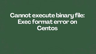 Cannot execute binary file: Exec format error on Centos