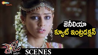 Genelia Cute Introduction | Ready Telugu Full Movie | Ram Pothineni | Srinivas Reddy | Suman Shetty