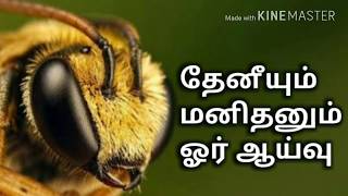 தேனீக்கள் அழிந்தால் நான்கு ஆண்டுகளில் மனித இனமும் அழியும் | Honey bee life