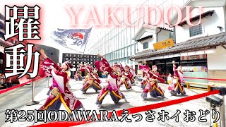 4K60p【躍動】百花不撓_第25回ODAWARAえっさホイおどり_ミナカ小田原会場【2023年】iPhone13Pro