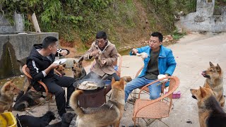 Huanong Brothers: We take a look at Mr Cameraman's shi hu. I pick some and stew with a rooster.