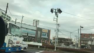 クリスマス水元さくら土手から飯塚橋ドライブ