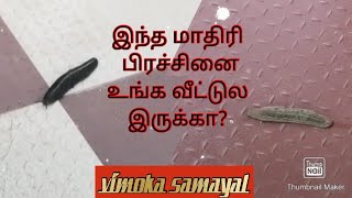 இந்த மாதிரி பிரச்சினை உங்க வீட்டுல இருக்கா?அட்டை பூச்சி வந்தால் என்ன பண்ணனும் தெரியுமா?vimokasamayal