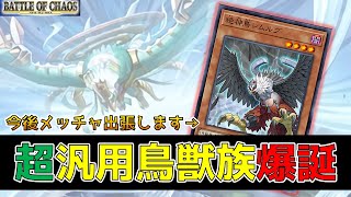 【遊戯王】これだけは買っておけ！怒涛の新カード紹介第四弾！『絶神鳥シムルグ』 バトルオブカオス