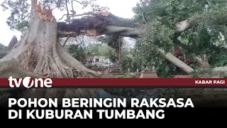 Pohon Setinggi 50 Meter Timpa Rumah dan Puluhan Makam | Kabar Pagi tvOne