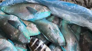 THE CHEAPEST FISH MARKET IN TAYUG PANGASINAN