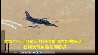 DCS  World    L-39教練機     攔截並且擊落敵軍的Mi-8直升機