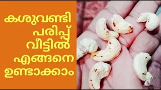 എങ്ങനെ വീട്ടിൽ കശുവണ്ടി പരിപ്പ് ഉണ്ടാക്കാം |Cashew Nuts