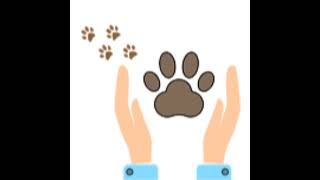 Your quick walkthrough - Pet obesity