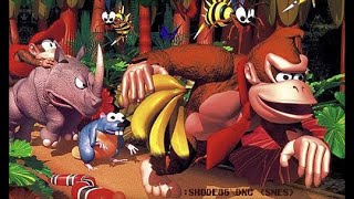 Donkey Kong Country *No Hit Challenge*.008