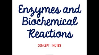 Unit 3 Energy Flow Concept 1 Notes *UPDATED*