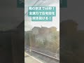 【爆走】住宅街を120km hで駆け抜ける！ shorts limitedexpress 特急 特急草津・四万 railway rapidly train tonno