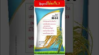 ปุ๋ยสูตร 30-0-0  ประกอบด้วยอะไร ใช้ในพืชไหน