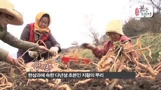 [살고싶은 농촌, 살기좋은 농촌] 충남 금산 금강붉은뎅이권역