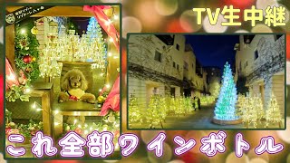 【愛犬とお出かけ山梨】テレビ生中継に遭遇★クリスマスな萌木の村と異国情緒なリゾナーレ八ヶ岳のワインボトルイルミネーションに愛犬とおでかけして来ました