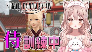 ＃141【FF14】日課行ったり『侍』訓練する！！作業や寝落ちのお供にどうぞ🎶【新人Vtuber】