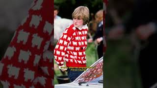 Princess Diana's sheep sweater smashes records to sell for $1.1 million