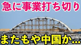 【海外の反応】「スリランカもまさか...操られた」日本の資金の援助でスタートした!!次世代型路面電車整備計画が一時停止に嘆きの声が続出...【Twitterの反応】