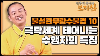 쉽게 풀어듣는 불설관무량수불경 10 -  극락세계 태어나는 수행자의 특징. [보리선수 약사선원 진푸티상사법문 580회]