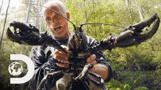 Jeremy Wade Finds Giant Crayfish | Jeremy Wade's Dark Waters